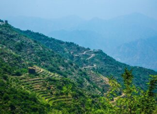 برنامج الأمم المتحدة للبيئة يعلن استضافة السعودية لليوم العالمي للبيئة 2024