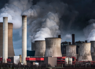 تلوث الهواء يكبد المحاصيل خسائر فادحة