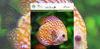 العدد 105 من نشرة “النافذة الخضراء”