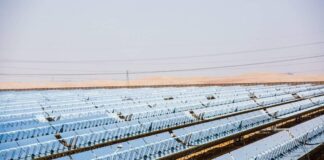 الابتكار في الطاقة النظيفة.. جهود إماراتية رائدة لحماية البيئة