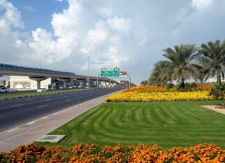 بمعدل 500 يومياً.. زراعة 185 ألف شجرة في دبي 2023