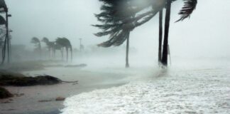 الأمم المتحدة تطلق “صندوق الصمود المناخي” لدعم اللاجئين والنازحين