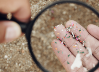 الجزيئات البلاستيكية الدقيقة قد تعيق تدفق الدم في المخ