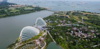 المدن الإسفنجية.. مساحات خضراء تواجه مخاطر تغير المناخ