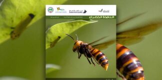 العدد 109 من نشرة “النافذة الخضراء”