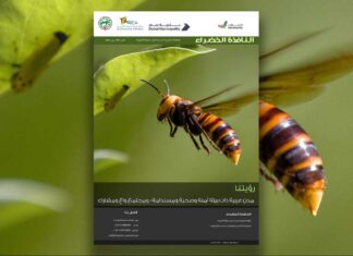 العدد 109 من نشرة “النافذة الخضراء”