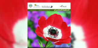 العدد 110 من نشرة “النافذة الخضراء”