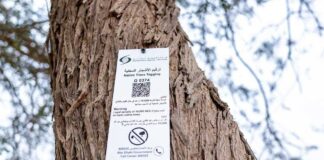 هيئة البيئة–أبوظبي تتوسع في برنامج ترقيم الأشجار المحلية في الإمارة