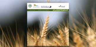 العدد 112 من نشرة “النافذة الخضراء”