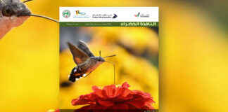 العدد 113 من نشرة “النافذة الخضراء”