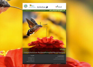 العدد 113 من نشرة “النافذة الخضراء”