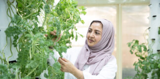 بلدية دبي تُعلن عن الفائزين بمسابقة أفضل حديقة منزلية منتجة ضمن حزم برنامج “مزارع دبي”