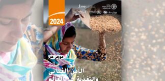 الأمم المتحدة: معدّلات الجوع لا تزال مرتفعة للسنة الثالثة على التوالي