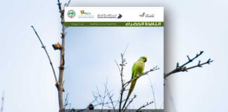 العدد 115 من نشرة “النافذة الخضراء”