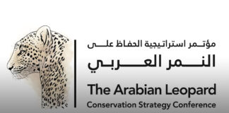 “بيئة الشارقة” تنظم مؤتمر “الحفاظ على النمر العربي”