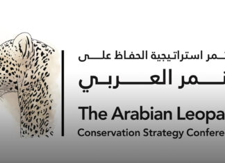 “بيئة الشارقة” تنظم مؤتمر “الحفاظ على النمر العربي”