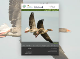 العدد 118 من نشرة “النافذة الخضراء”