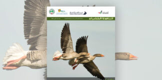 العدد 118 من نشرة “النافذة الخضراء”