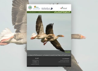 العدد 118 من نشرة “النافذة الخضراء”