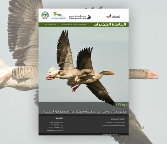 العدد 118 من نشرة “النافذة الخضراء”