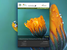 العدد 116 من نشرة “النافذة الخضراء”