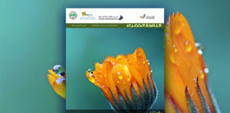 العدد 116 من نشرة “النافذة الخضراء”