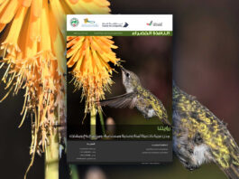 العدد 117 من نشرة “النافذة الخضراء”