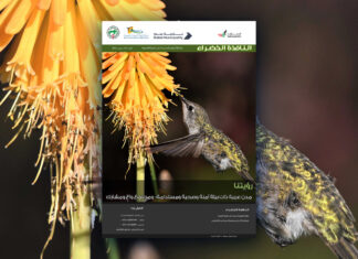 العدد 117 من نشرة “النافذة الخضراء”