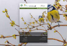 العدد 120 من نشرة “النافذة الخضراء”