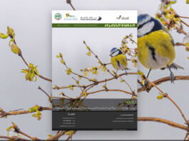 العدد 120 من نشرة “النافذة الخضراء”