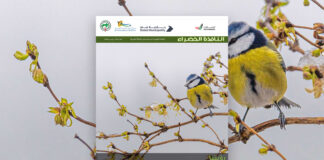 العدد 120 من نشرة “النافذة الخضراء”