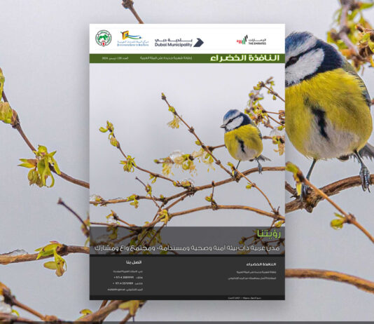 العدد 120 من نشرة “النافذة الخضراء”