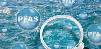 المواد الكيميائية الأبدية تهدد صحة الإنسان والبيئة