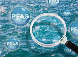 المواد الكيميائية الأبدية تهدد صحة الإنسان والبيئة