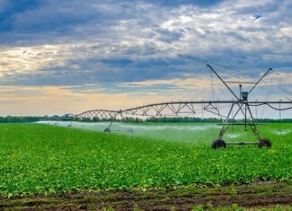 غياب مفهوم “المياه الافتراضية” يهدد القطاع الزراعي