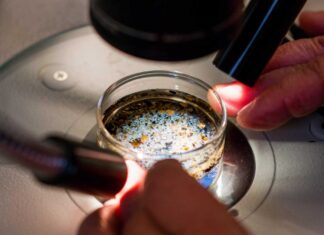 العثور على جزيئات بلاستيكية دقيقة في السائل الجريبي للمبيض البشري لأول مرة