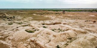 لماذا صار التصحر أزمة تتجاوز البيئة وتمس البشر؟