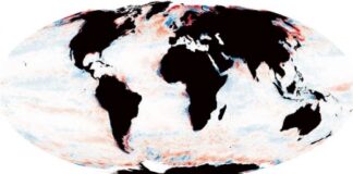 هل أصبحت محيطات العالم أكثر ظلاماً؟ دراسة تجيب