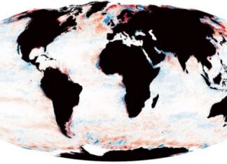 هل أصبحت محيطات العالم أكثر ظلاماً؟ دراسة تجيب