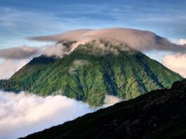 تقرير أممي: درجات الحرارة العالمية ستبقى عند مستويات قياسية في السنوات الخمس المقبلة