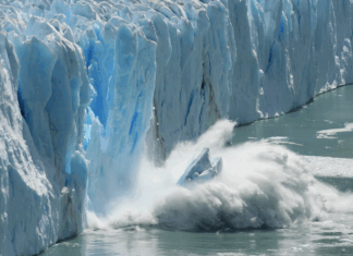 علماء يحذرون من أن ارتفاع مستوى سطح البحر سيؤدي إلى “هجرة داخلية كارثية”