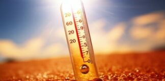 ارتفاع درجات الحرارة يؤدي إلى إطلاق الكربون بشكل سريع وغير متوقع من التربة