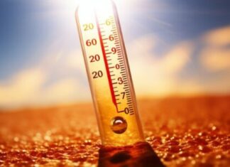 ارتفاع درجات الحرارة يؤدي إلى إطلاق الكربون بشكل سريع وغير متوقع من التربة