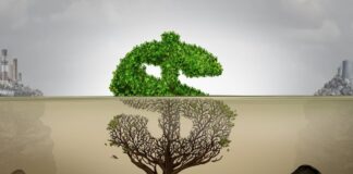 “الغسل الأخضر” استراتيجية تسويقية غير أخلاقية