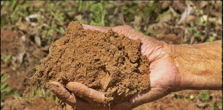 باحثون يكشفون عن حل مبتكر قائم على الطين لالتقاط ثاني أكسيد الكربون ومكافحة تغير المناخ