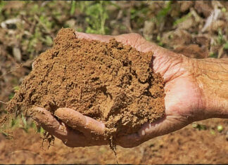 باحثون يكشفون عن حل مبتكر قائم على الطين لالتقاط ثاني أكسيد الكربون ومكافحة تغير المناخ