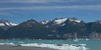 ذوبان الجليد يكشف عن جزيرة جديدة في ألاسكا