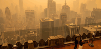 الولايات المتحدة تواجه ارتفاعاً في أعداد الوفيات بسبب دخان حرائق الغابات