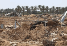 في غزة، 95% من الأراضي الزراعية في حالة خراب