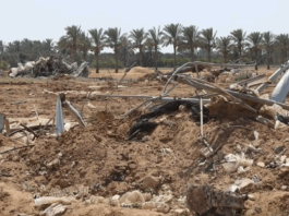 في غزة، 95% من الأراضي الزراعية في حالة خراب